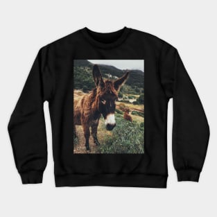 Burro Portrait Crewneck Sweatshirt